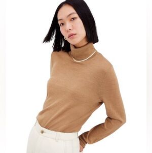 GAP Merino Turtleneck Sweater